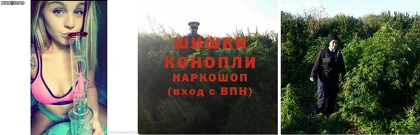 jwh Бердск
