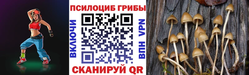 Псилоцибиновые грибы MAGIC MUSHROOMS Холмск
