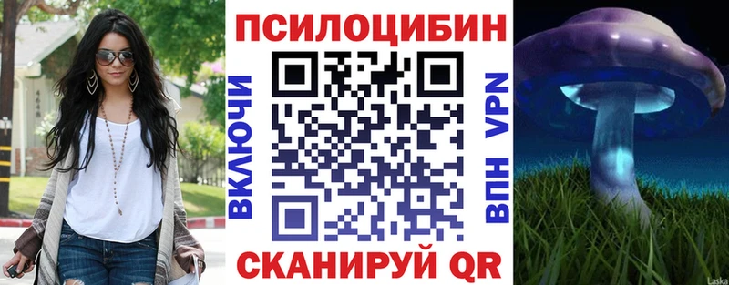 Псилоцибиновые грибы Cubensis  гидра онион  сайты даркнета какой сайт  Холмск 