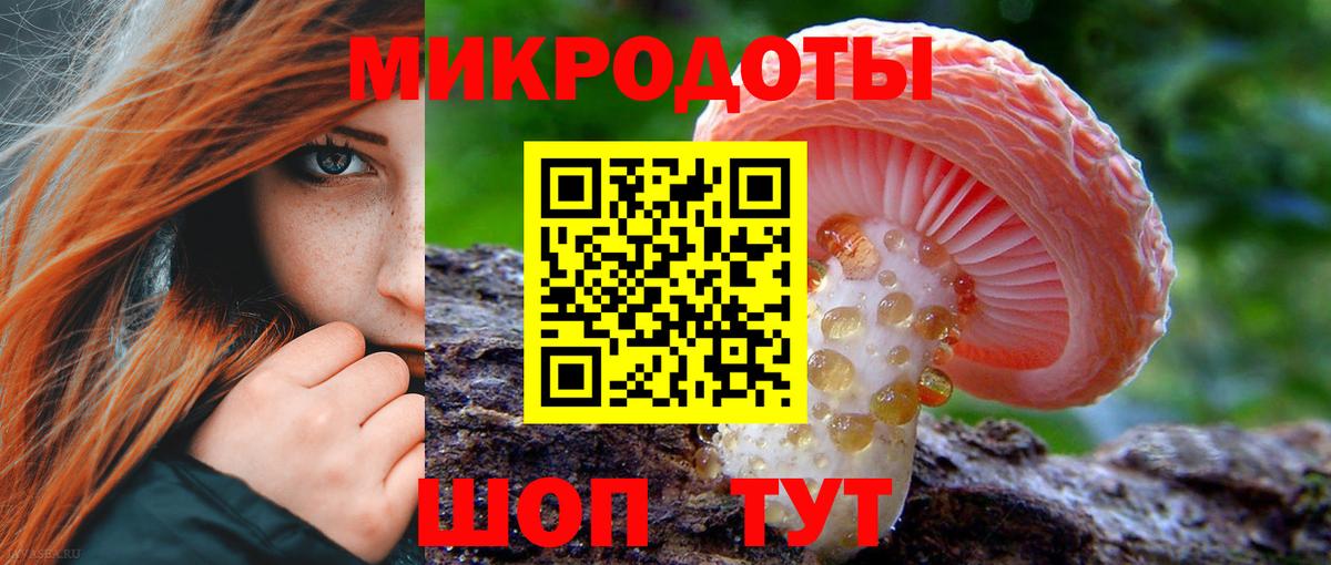 Псилоцибиновые грибы Psilocybine cubensis Холмск
