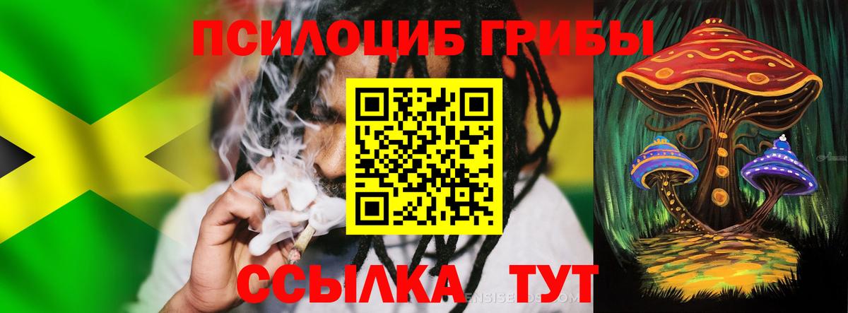 Холмск  Псилоцибиновые грибы MAGIC MUSHROOMS  купить закладку  Вход с VPN 