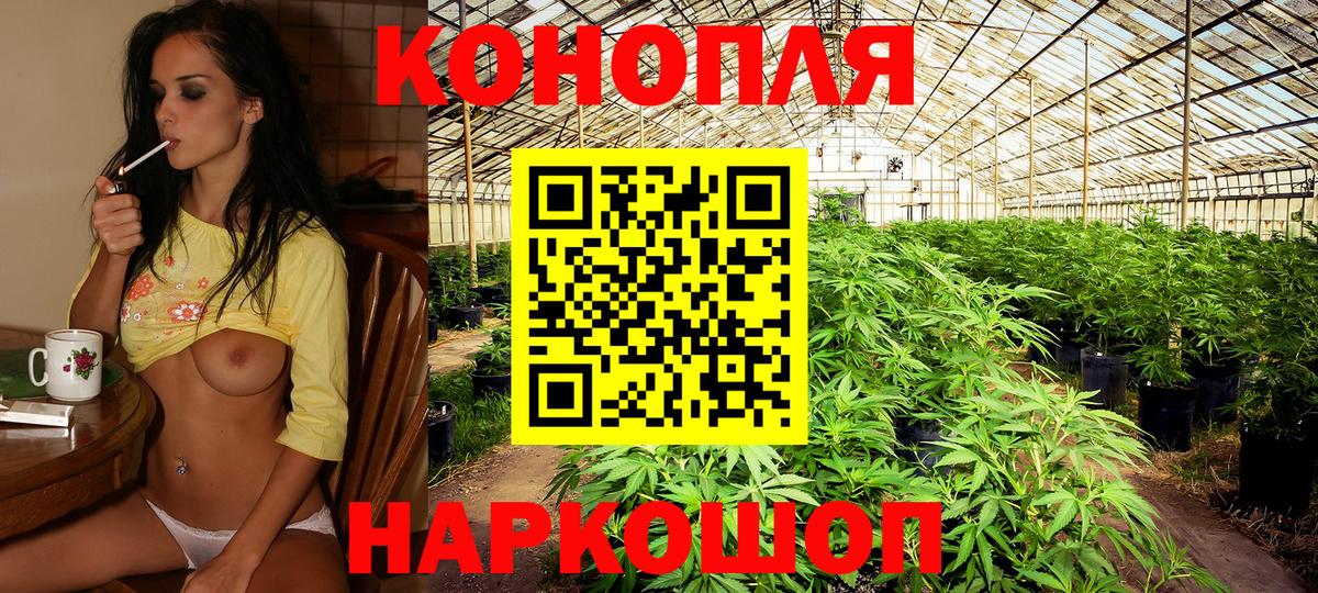 Каннабис SATIVA & INDICA Холмск